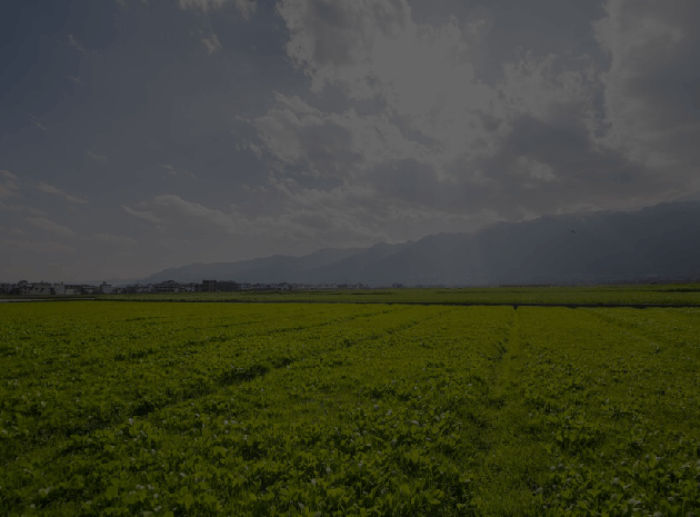 Mission Image